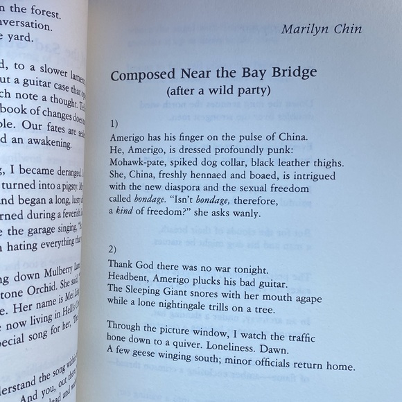 Walk On The Wild Side: Urban American Poetry Since 1975 (paperback) - Picture 3 of 8